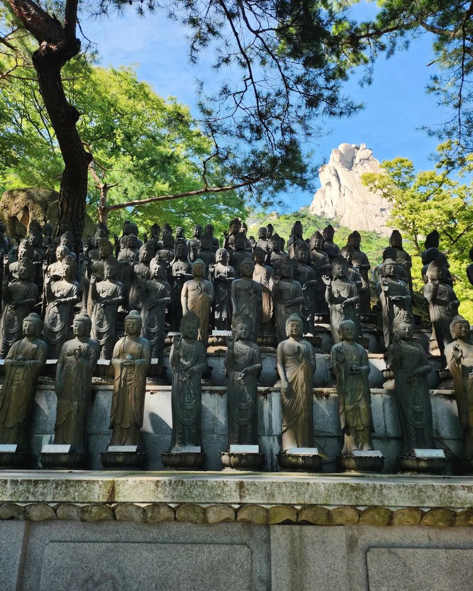 cuttevante's tweet image. 📸| RM EN INSTAGRAM 

📍 monte dobong

 🐨 bigeumbong.. ah.. no.. dobong

 t/n bigeumbong es el nombre que se le da al monte dobong en la película 'decisión de irse'