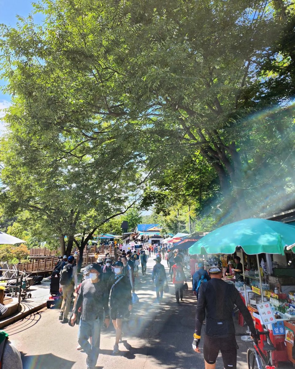 cuttevante's tweet image. 📸| RM EN INSTAGRAM 

📍 monte dobong

 🐨 bigeumbong.. ah.. no.. dobong

 t/n bigeumbong es el nombre que se le da al monte dobong en la película 'decisión de irse'