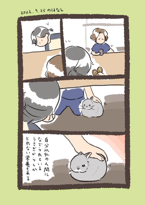 日付け変わって昨日のrabbit…
#うさぎのいる生活 