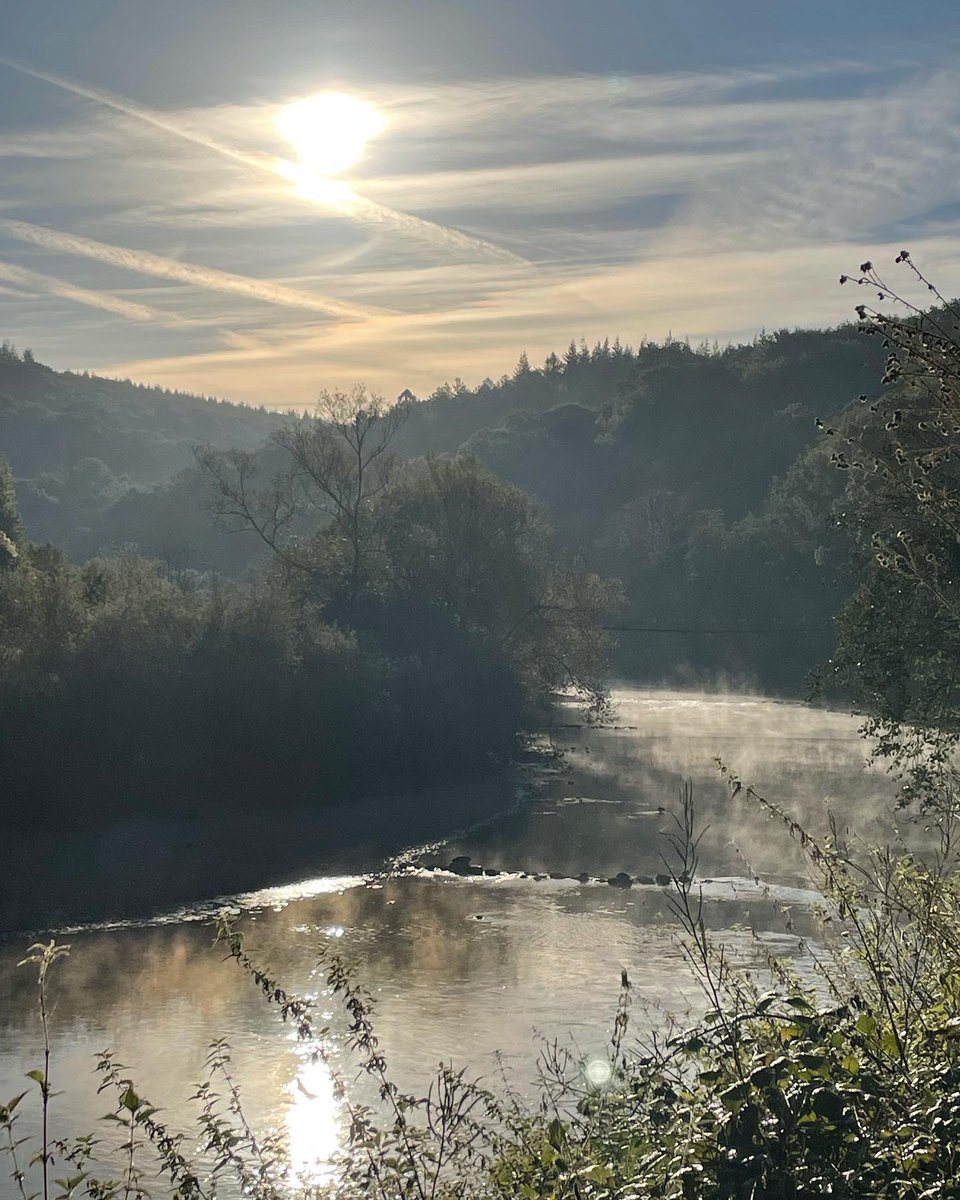 Trish Chalk tweet media