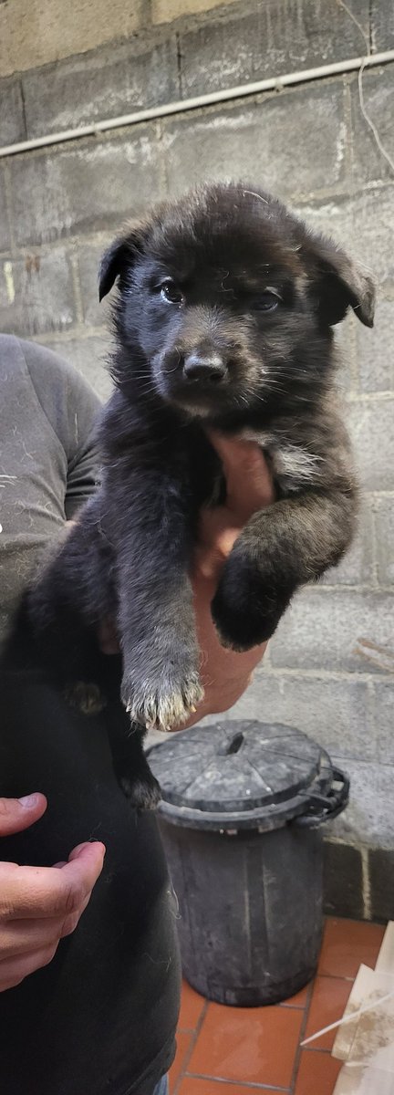 Mon fils il grandi si vite purée 🥺