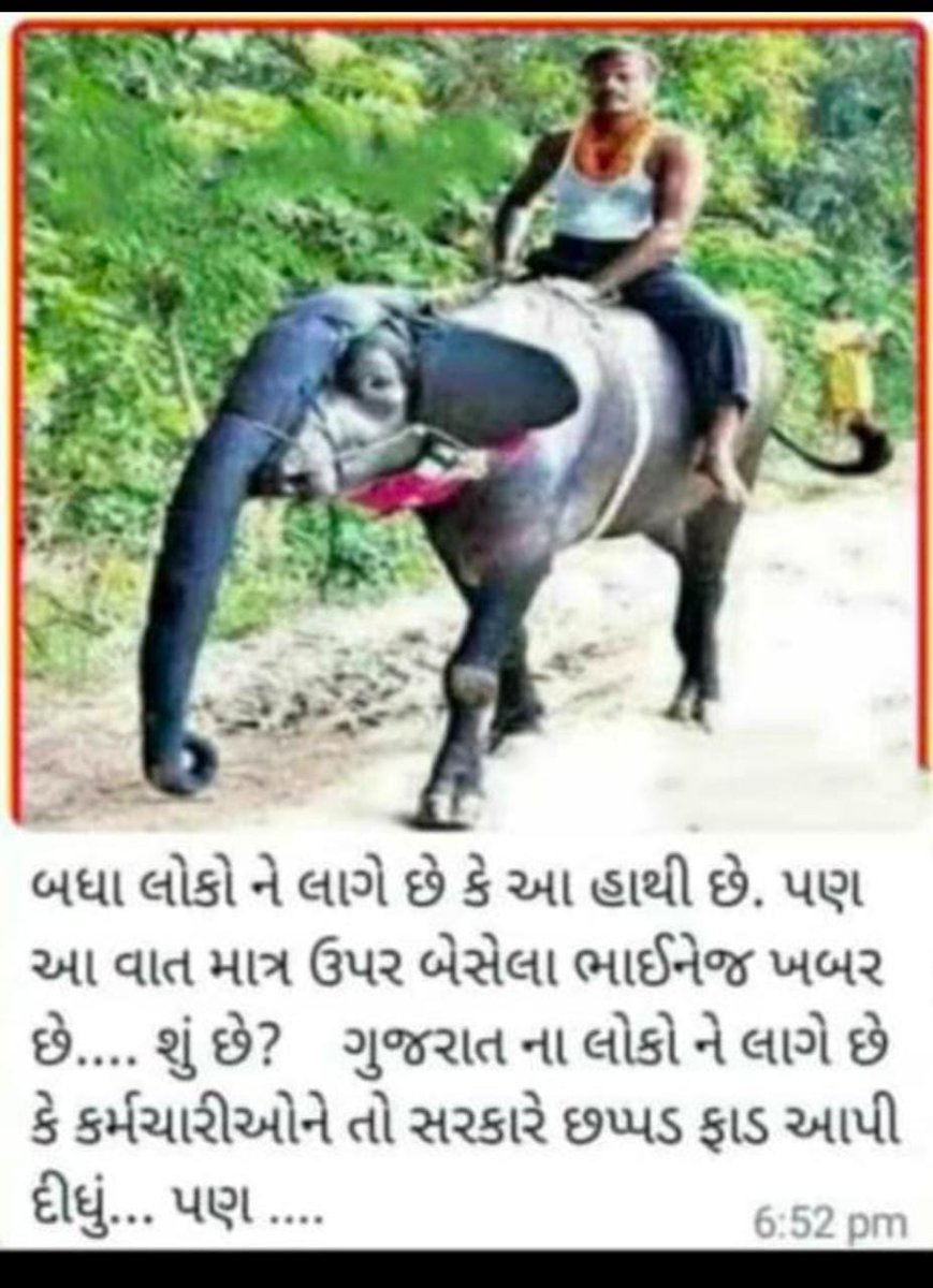 JAYESH tweet media