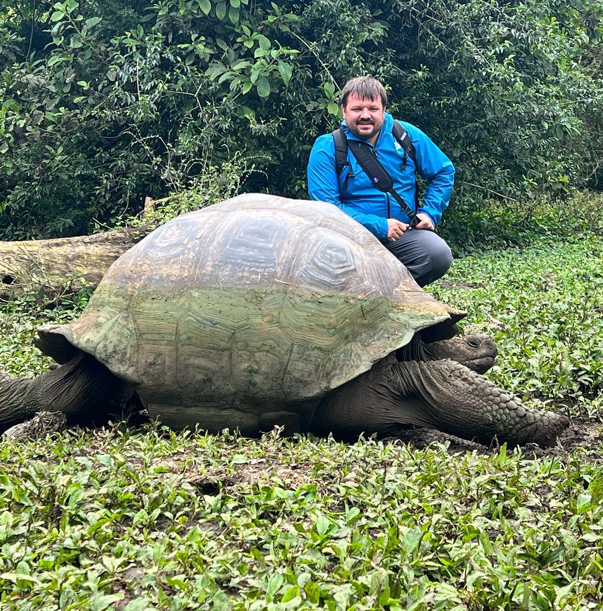 Derek Ratchford tweet media