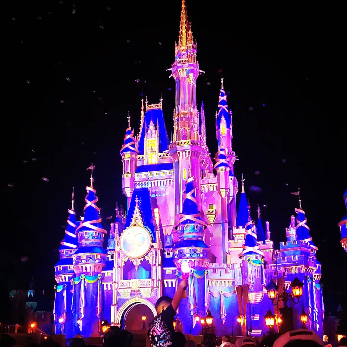 lovleelaura88's tweet photo. #DisneyWorld50 https://t.co/DojbEti2gm