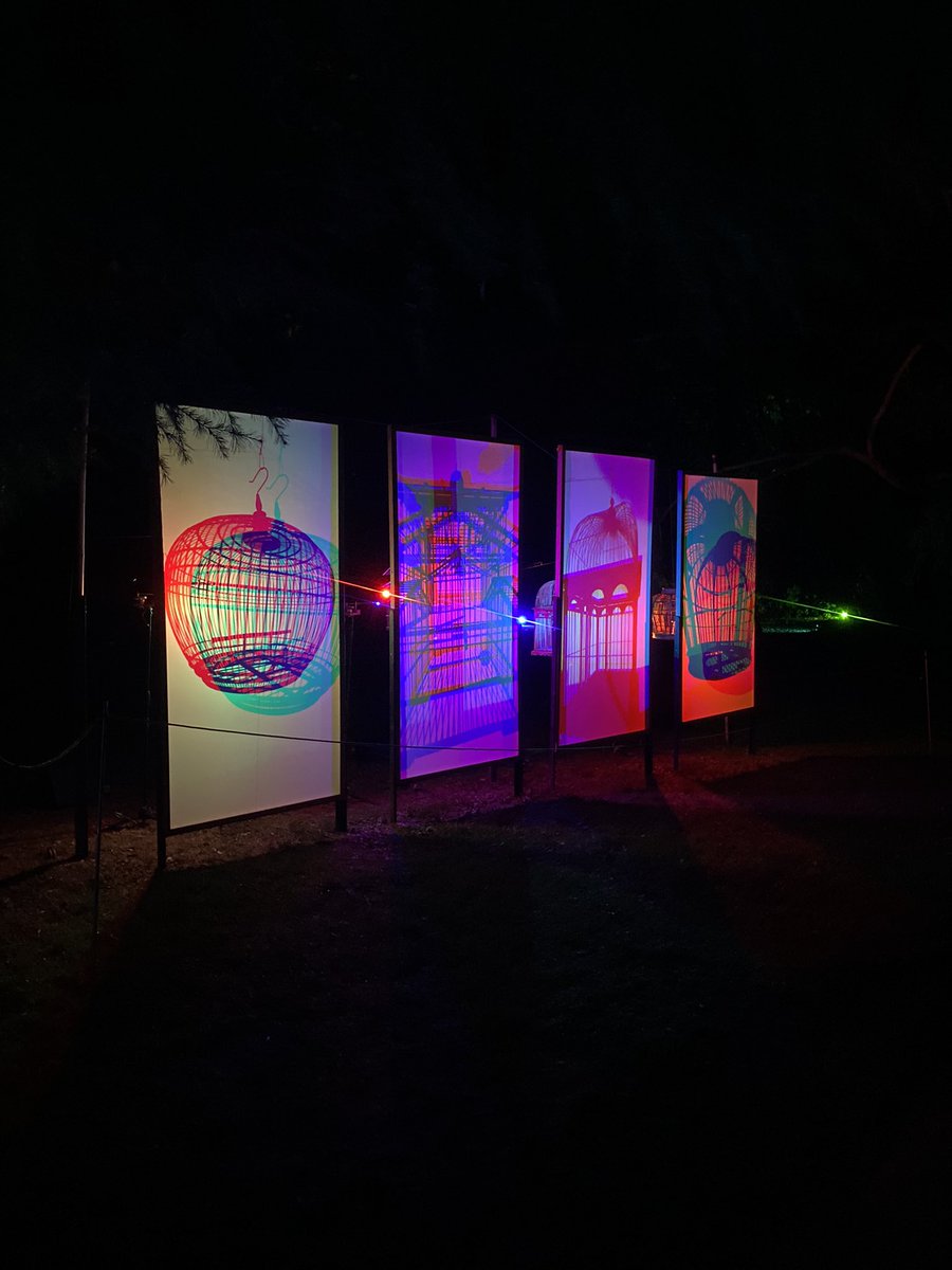 MNorrisoh's tweet photo. Totally enjoyed a family walk in @NBGGlasnevin for the spectacular &amp; beautiful night time event @EasterbyJony's #remnantecologies #heaveninglasnevin @dublinfringe https://t.co/b2UAoJiGxX