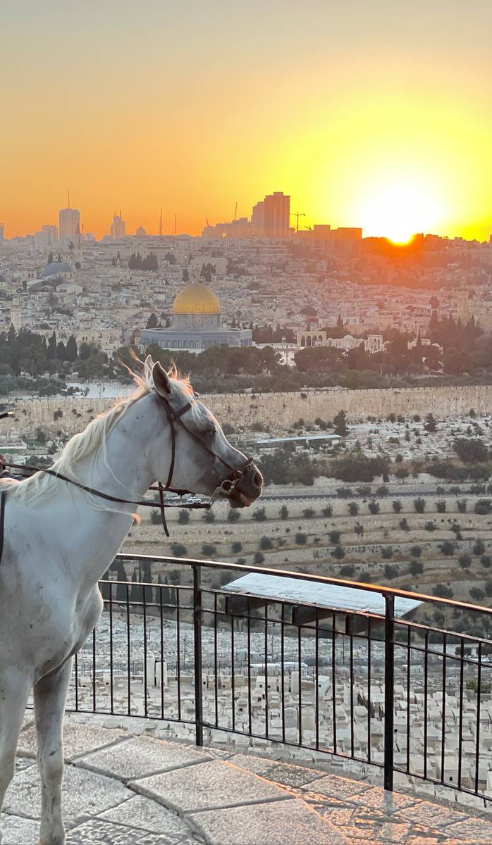 Sen oradan kıracaksın zincirleri, biz buradan.
Ve bir gün mutlaka kavuşacak ellerimiz...