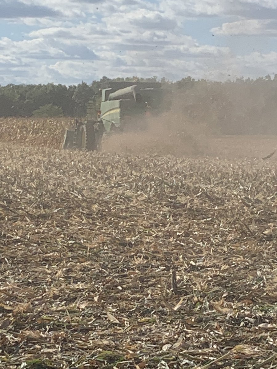 Shelling corn in Illinois!