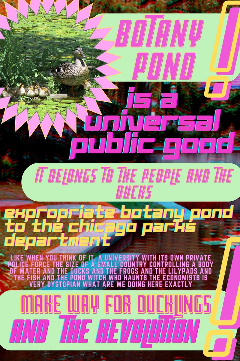SSWUChicago's tweet photo. The Botany Pond Liberation Campaign asks that everyone share this flier with the campaign's key demands:

#MakeWayForDucklings #AndTheRevolution https://t.co/gNgrOeT0rG