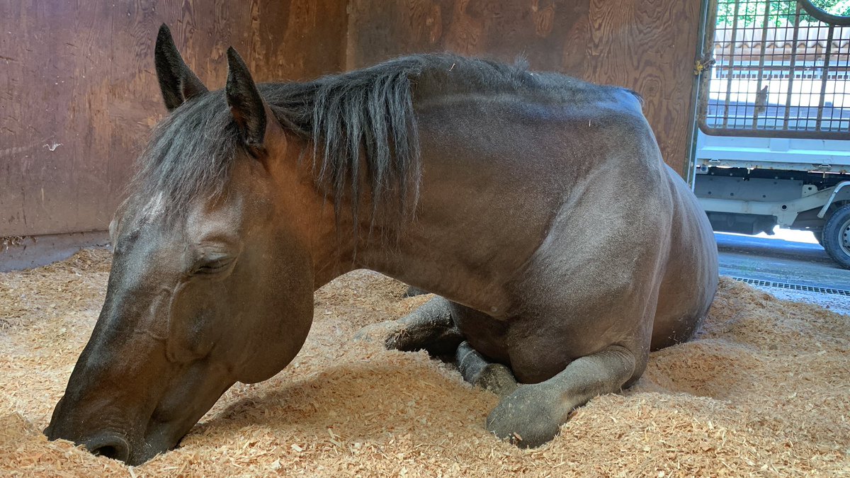 stable comfy (@stable_comfy) / Posts / X
