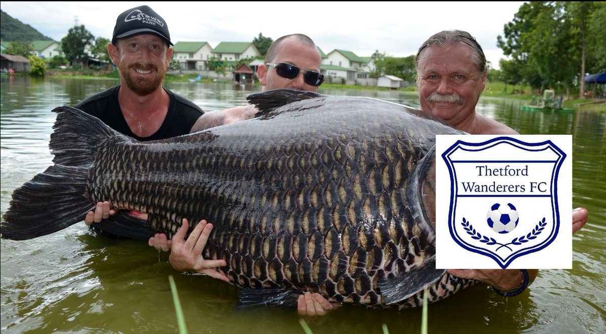 Palgrave Ultras tweet media