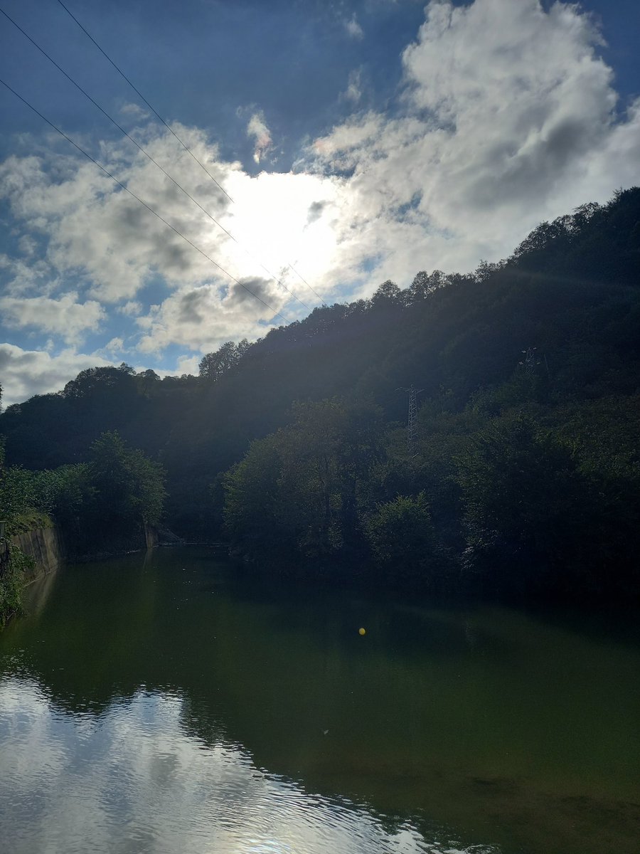 HSN.NFT.COM (@hasan262811) on Twitter photo 