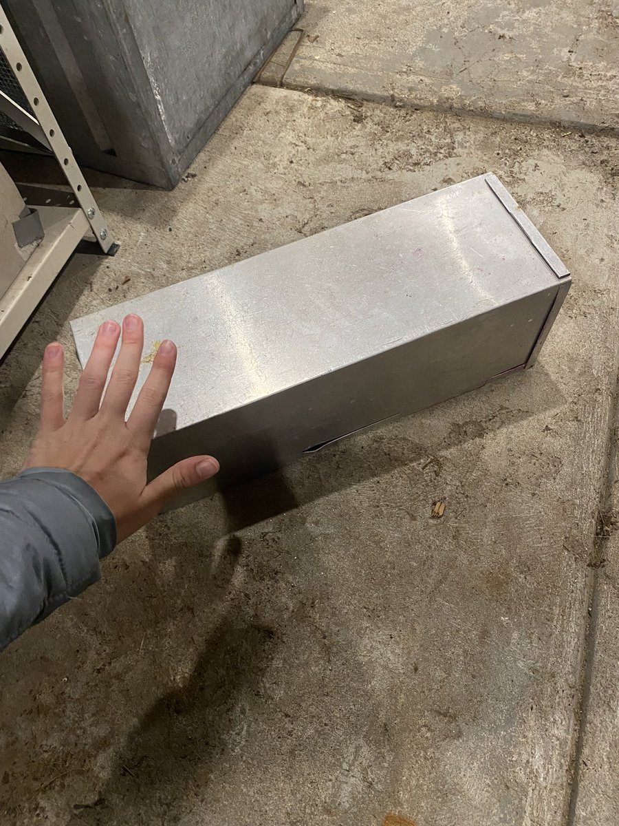 JuliaRizzo_'s tweet photo. Big sherman trap https://t.co/vHfkygv7dg