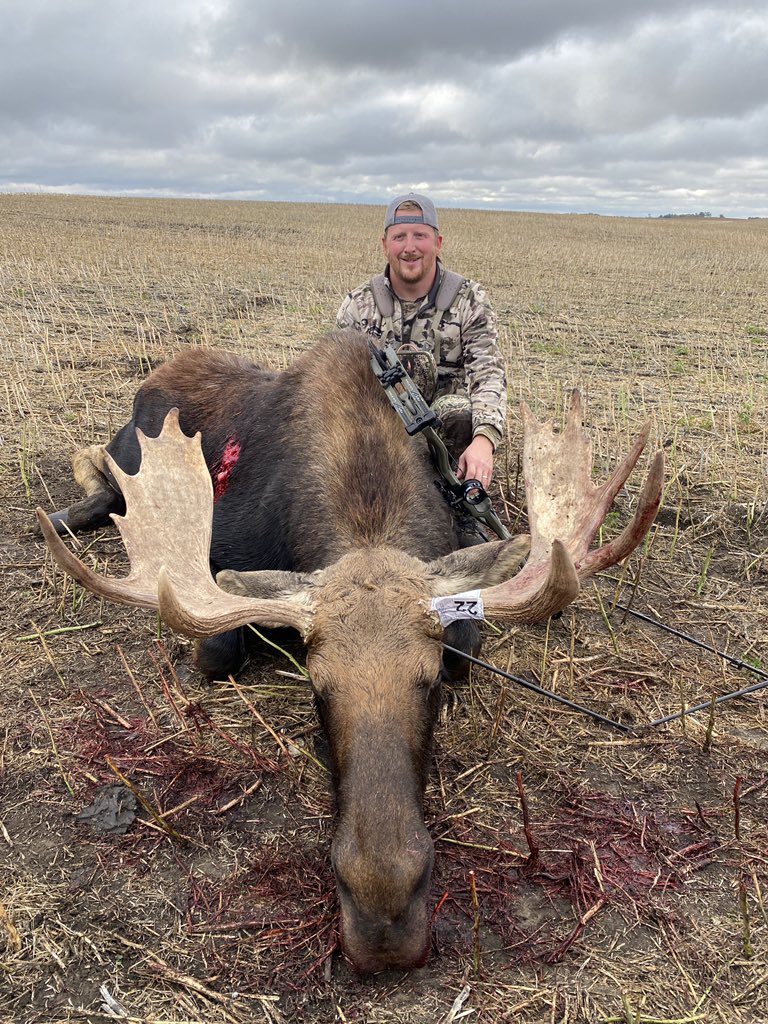 Schuster Seed tweet media