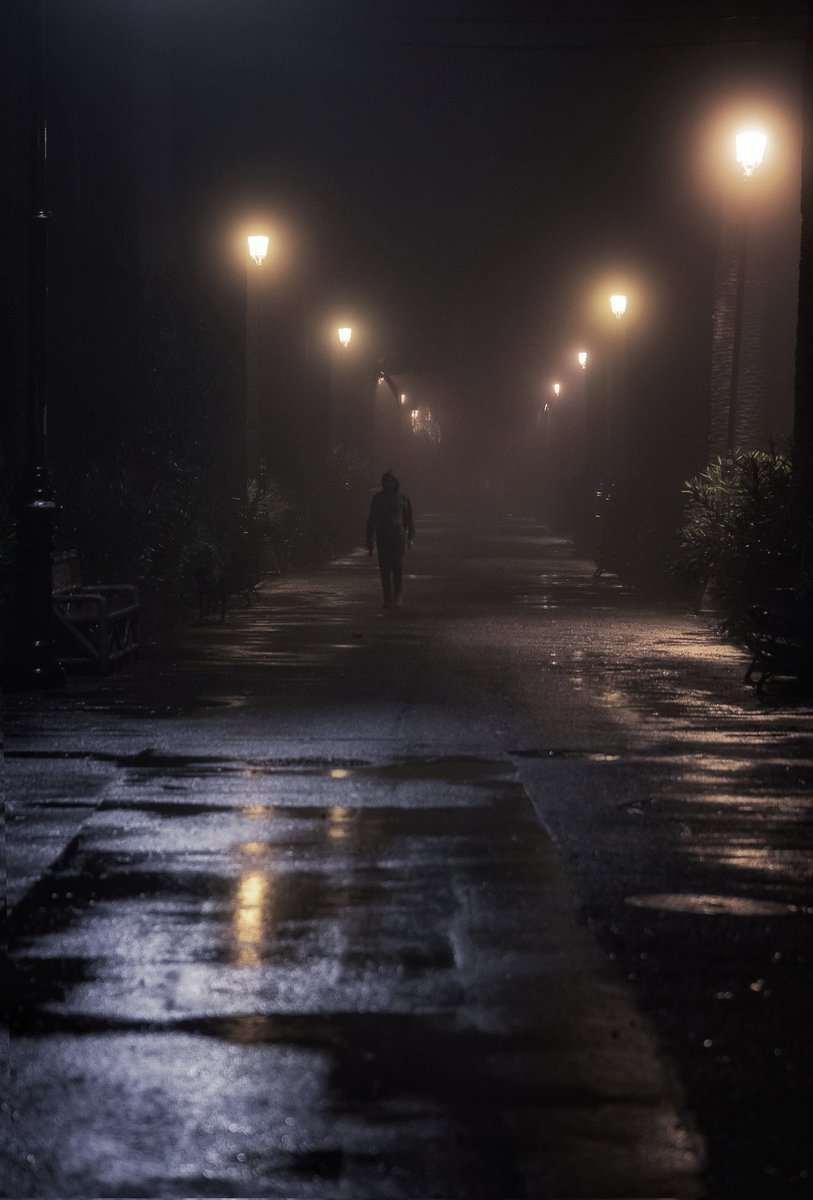 Zeworldphoto's tweet photo. Algunas de las fotos que tomé hace unas pocas horas en #LaLaguna. La niebla nos regaló un ambiente espectacular y dramático 

#Tenerife #Canarias #Lluvias https://t.co/8fZ8QlDrxP