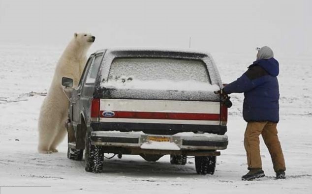 Lacey London tweet media