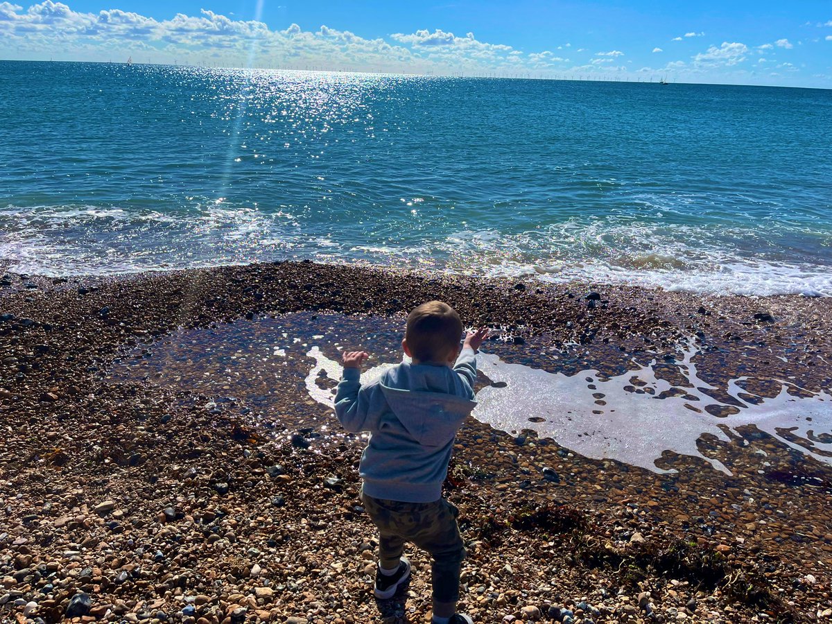 Stephanie Harvey tweet media