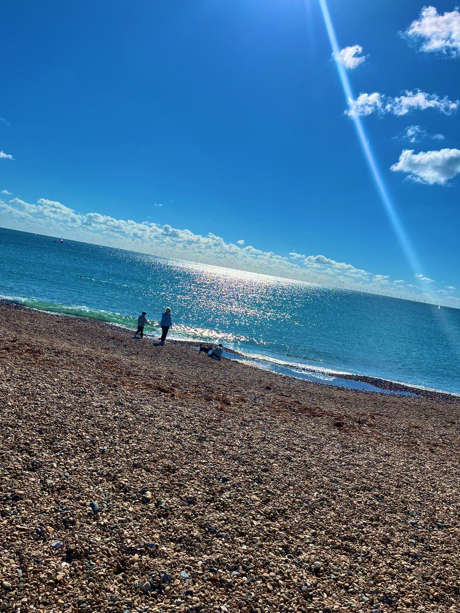 Stephanie Harvey tweet media