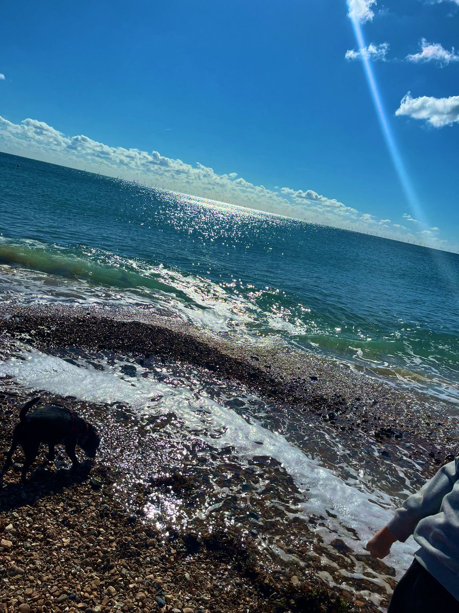 Stephanie Harvey tweet media