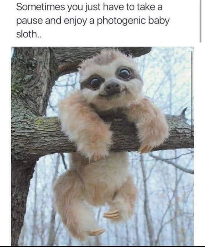 WholesomeMeme's tweet photo. https://t.co/D9qEIgMasc