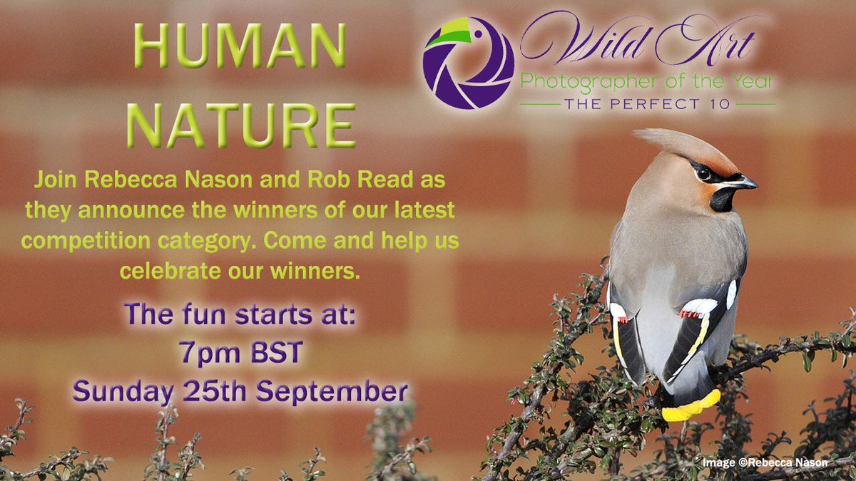 Join us tonight at 7pm UK as we announce our winners for HUMAN NATURE. Join judge @puffinpassion and competition founder @robwread for an evening of great photography and chat. Here’s the link youtu.be/M7I11Z_-9AY See you later! @SwarovskiOptik @Cotton_Carrier @OMSYSTEMcameras