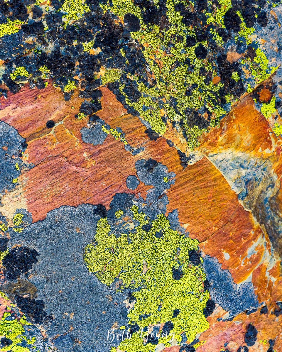optimal_focus's tweet photo. A series of images showing the variation of intense color in the sedimentary rock reflecting the soft, blue light of twilight along Sun Point Nature Trail in Glacier NP. #smallscenes #intimatelandscape #expressivephotography #canon #nature #naturephotography #abstract https://t.co/eGz8AxRN5b