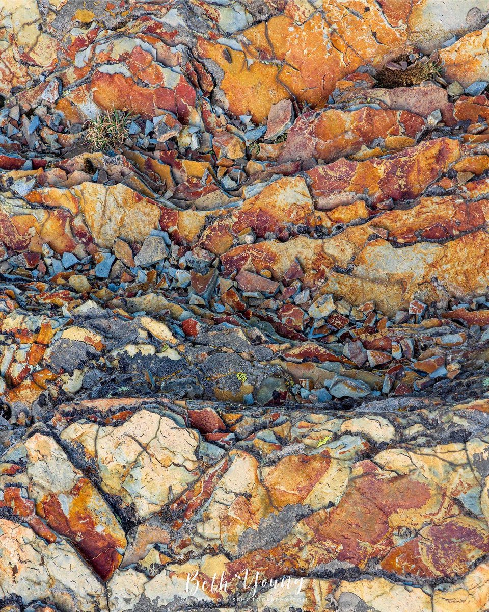 optimal_focus's tweet photo. A series of images showing the variation of intense color in the sedimentary rock reflecting the soft, blue light of twilight along Sun Point Nature Trail in Glacier NP. #smallscenes #intimatelandscape #expressivephotography #canon #nature #naturephotography #abstract https://t.co/eGz8AxRN5b