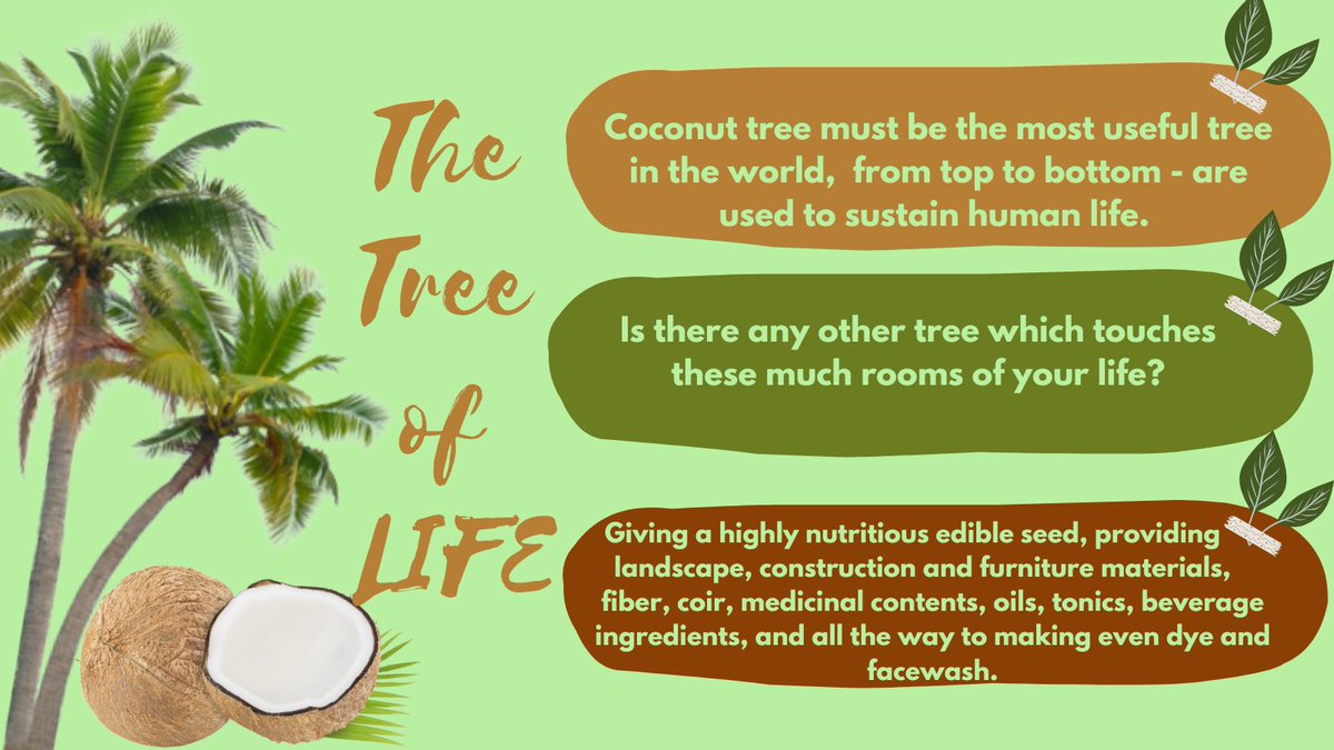 CoconutNFTClub's tweet photo. “People who will not sustain trees will soon live in a world that will not sustain people."

- Bryce Nelson.

#itsmorefuninthephilippines
#coconutfarm
#coconutgrovefarmersmarket 
#farm
#farmers
#coconutfarm
#agriculture
#coconut
#econut
#organic https://t.co/GzG0rHZlIE