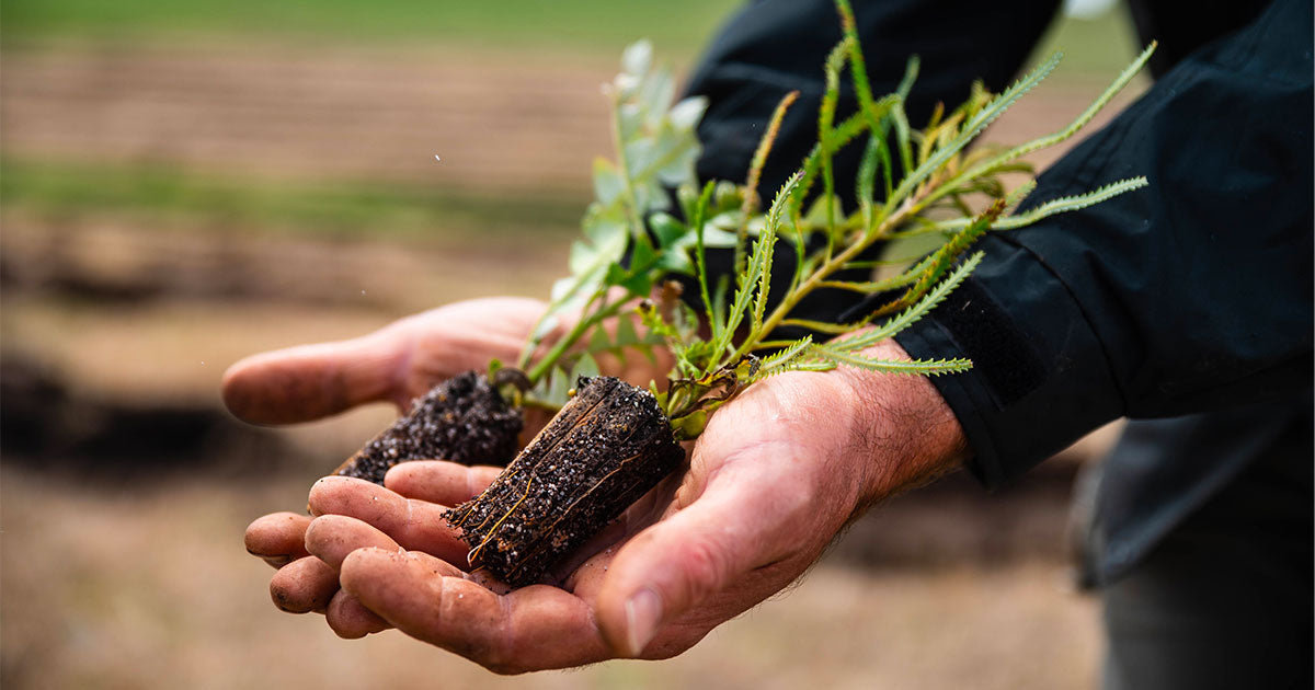 Get your hands in the dirt for Plant a Tree Day!🌱🌲

We have 100+ volunteer opportunities worldwide. Come out and get some trees in the ground.

A big thank you to our sponsors <a href="/Kyndryl/">Kyndryl</a> <a href="/YachakYerbaMate/">Yachak</a>👇💚

plantatreeday.io/?utm_medium=so…