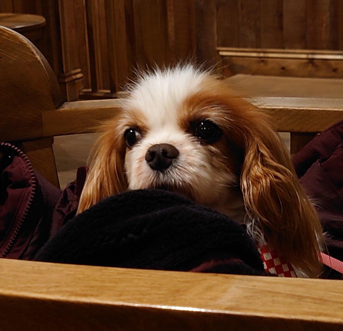 Once more at the Ship #itsahardlife