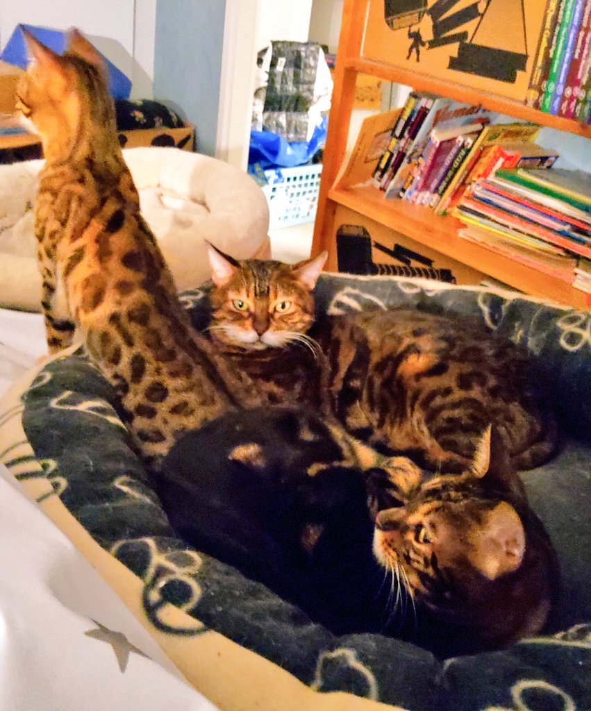 Didi, Carisma, Lobsang & Mort tweet media