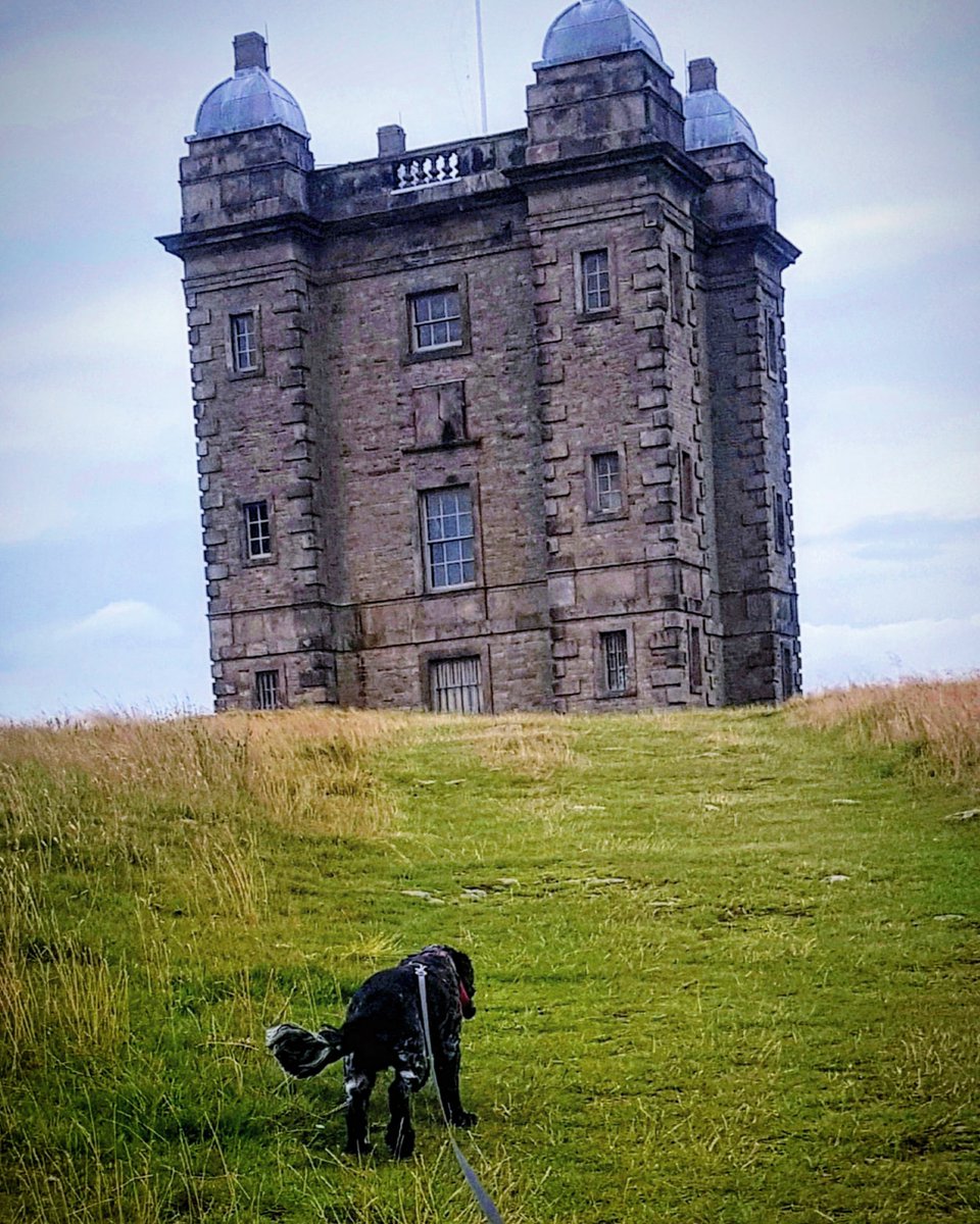 LesleyT999's tweet photo. C'mon hooman, #nearlythere πΎ
@hearingdogs @volteamhdogs @nt_lymepark
#sundayfunday #sundayvibes #walkinthepark #granddayout #walkies #outandabout #outforastroll #playtime #ambassador #assistancedog #dogswithjobs #puppytrainer #volunteering #blueroan #cockerspaniel https://t.co/50kRseb9nL