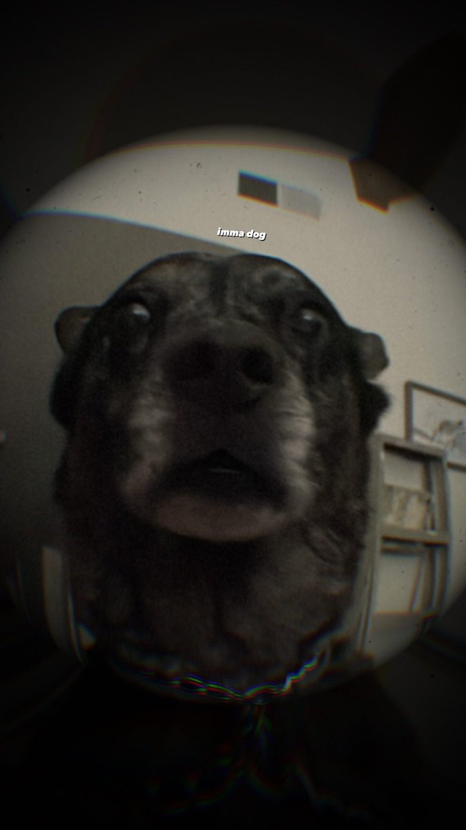 dontpanic. ʕ•̫͡•ʔ (@dontpanic_prod) on Twitter photo 