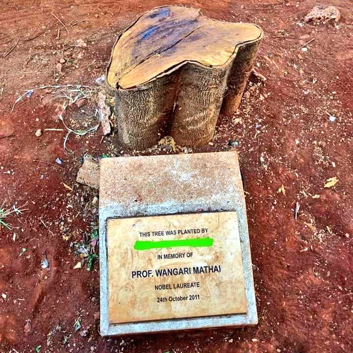 This is more than a heartbreak 💔😭!