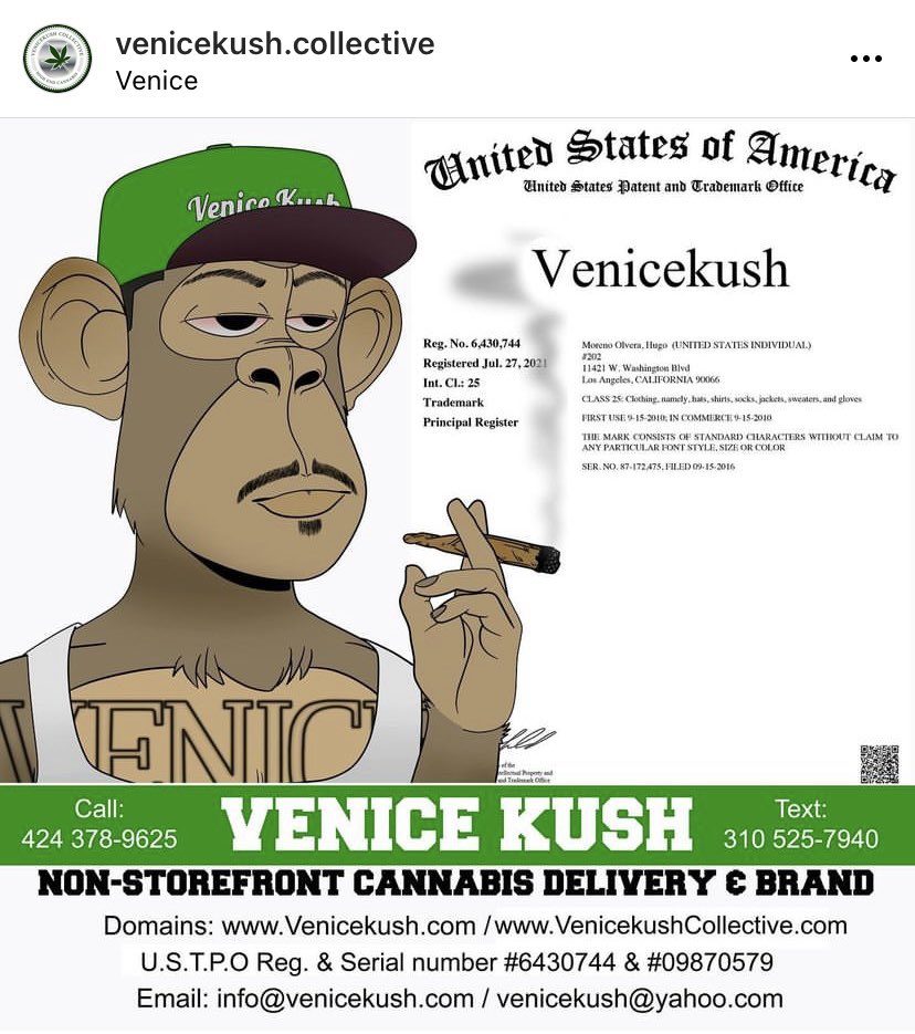 Venicekush's tweet photo. https://t.co/EHI4yZLtsm #venicekush #cannabis #kushbreeze #palmtrees #westla #delivery https://t.co/uE0JECK3W8