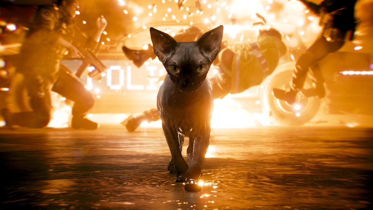 Shikkusu1's tweet photo. My #NIBBLES entry to #PhotoModeChallenge #PhotoMode2077 #Cyberpunk2077 #CDProjektRed
にゃん (=🝦 ﻌ 🝦=) https://t.co/vCjxhQFWwg