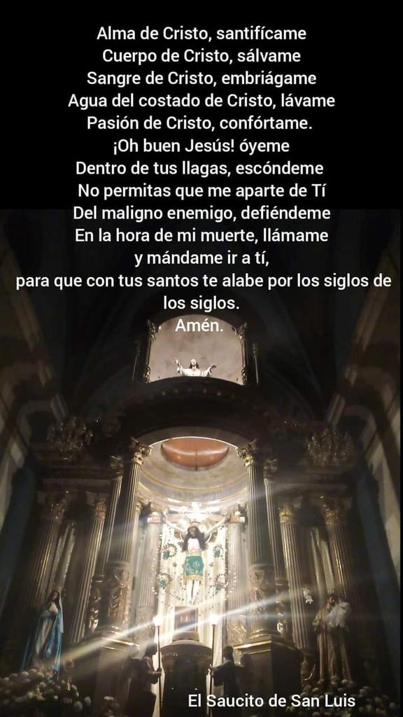 ElSaucitodeSanLuis tweet media