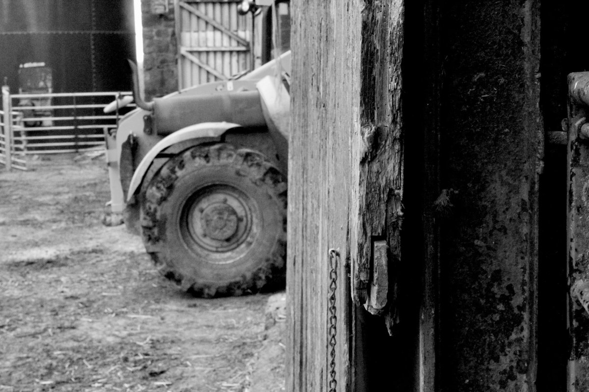 DurhamFocus's tweet photo. Celebrating a tiny bit of rural Durham. @ThisisDurham @BBCFarmingToday @BBCCountryfile @DefraGovUK #littleredtractor https://t.co/SVDNPr0M46