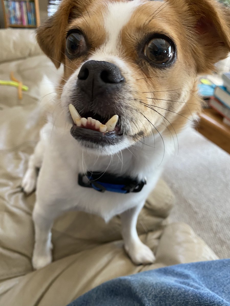 LoganLukeLloyd's tweet photo. Logan sez “happy Sunday” https://t.co/wdgJ5fGBwn