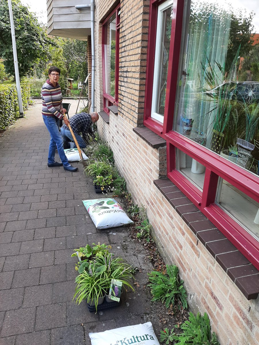 ekru02's tweet photo. @DeMeanderhof @Stadshagen is diverse geveltuinen rijker. Dankzij de actie Stoepgroen op de @burendag2022,  @HolstoTuinen en @naturalbulbs is #groeneloperzwolle langer geworden. 
@zwolle @wijkservicepunt @OranjeFonds https://t.co/EE6PQG36ri