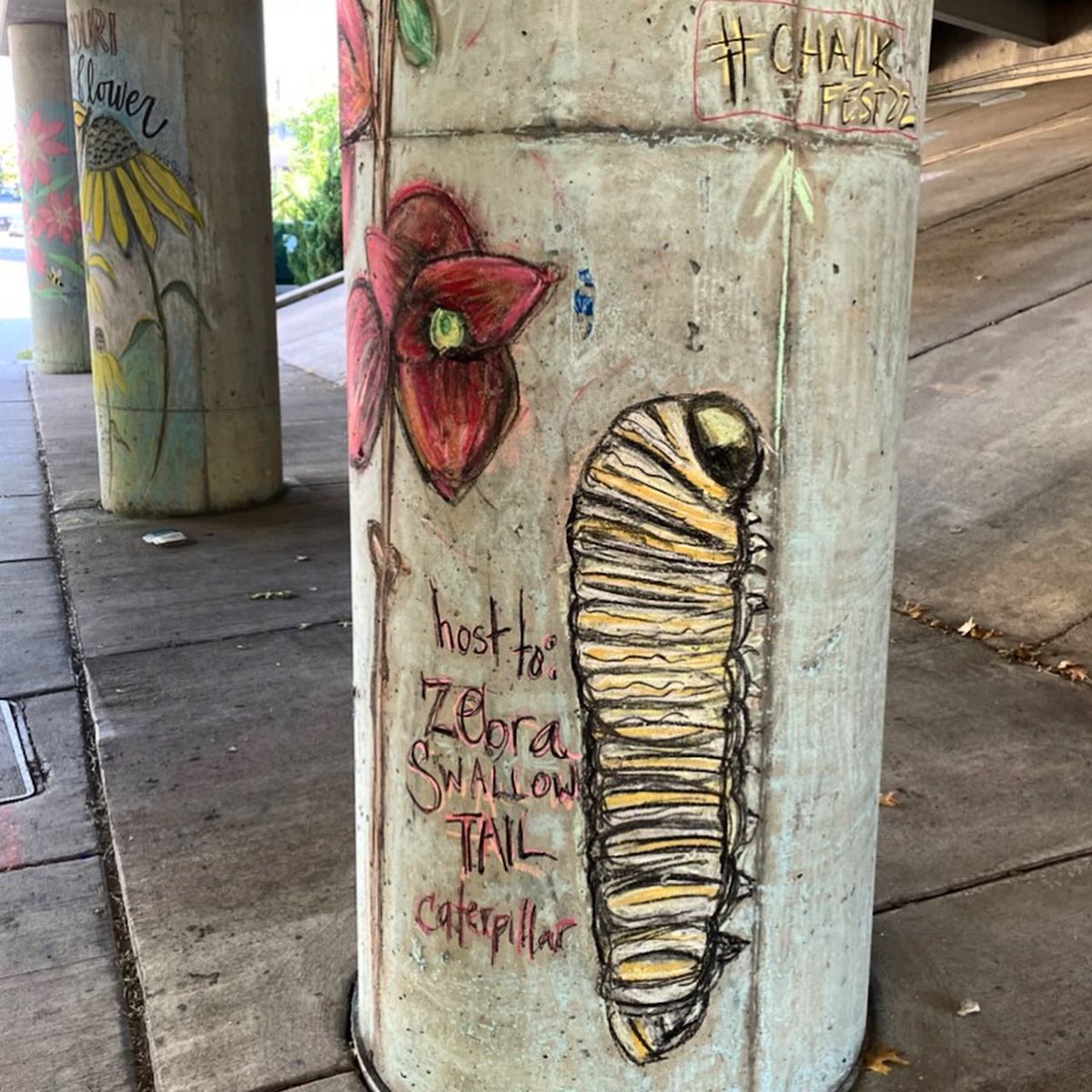 This weekend while on a run, listening to our latest episode, <a href="/whelpster/">Tracy Whelpley</a> stumbled upon #streetart that brought our podcast into visual life! How cool is that? #pawpaws in chalk! 

You can also check out our video as we toured the farm on groundedbythefarm.com/foraging-pawpa…