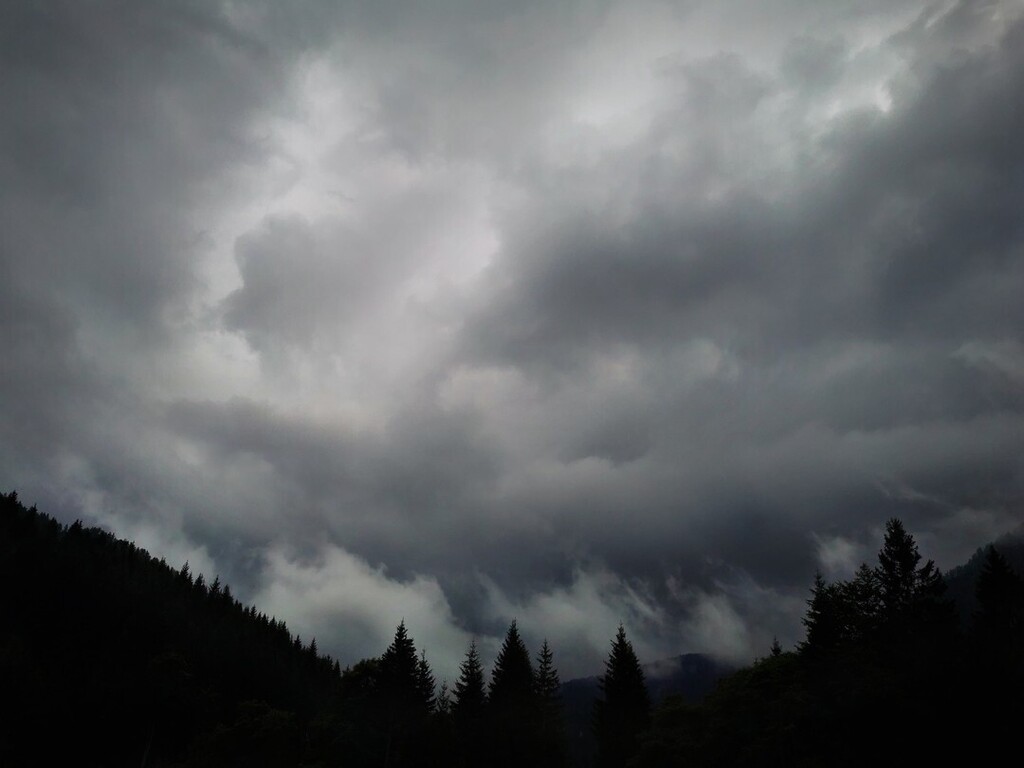 francescochiot's tweet photo. A specific kind of pressure

Tarvisio, 2022

#icpalumni #trieste #wanderlust #travel #landscape #landscapephotography #igersfvg #fvg #fvglive #photooftheday #photography #lost #tarvisio #mountainlife  #fall #storm #travelgram #adventure #abstract #mobile… https://t.co/67Z64kM3a6 https://t.co/eb4SZc8X0U