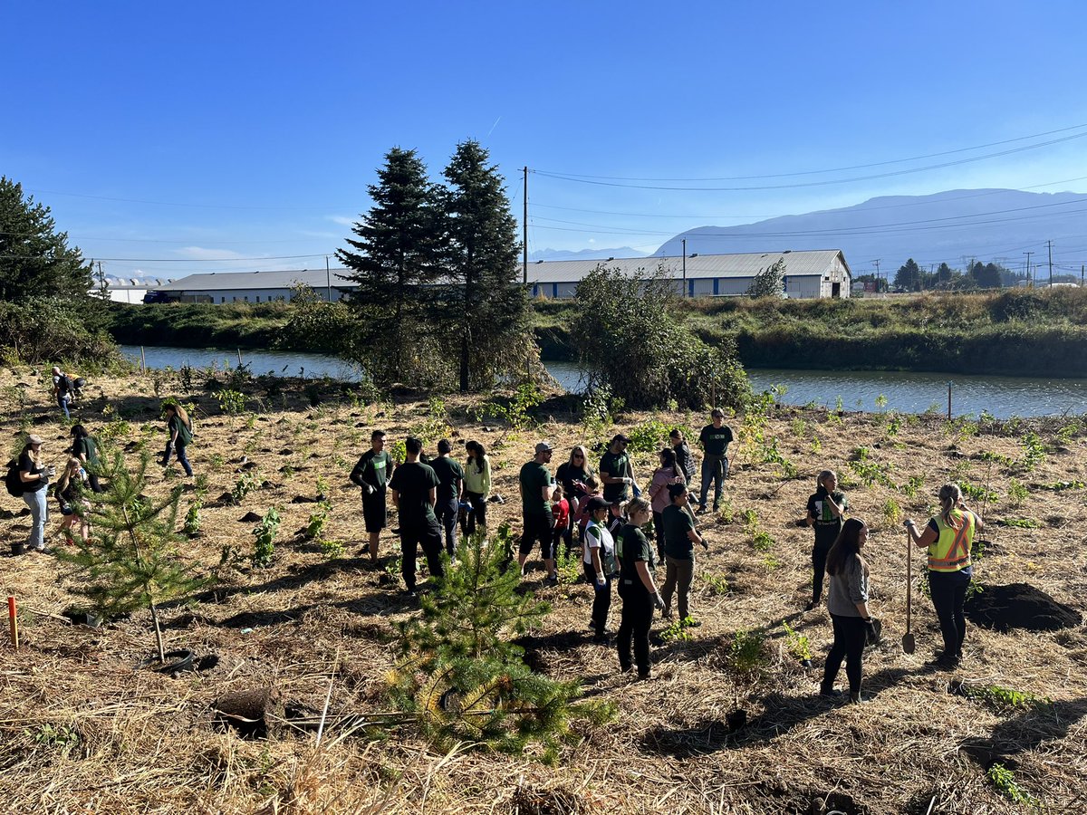 mandipkharod's tweet photo. After a 2yr pause, TD colleagues & community members came together to plant 1100 trees/shrubs #MackayCreekTrail 🌳 a beautiful day supporting flood relief efforts with the @City_Abbotsford @TDFEF @JFJ_YYZ @juliearmour_td @MattLymburner @cscotch_11 @RobbyAulakh_TD #BetterTogether https://t.co/XIpygI9UKI