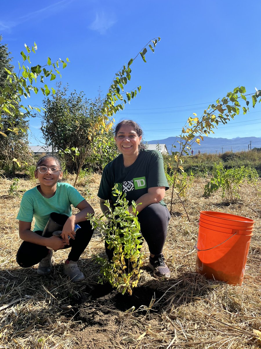 mandipkharod's tweet photo. After a 2yr pause, TD colleagues & community members came together to plant 1100 trees/shrubs #MackayCreekTrail 🌳 a beautiful day supporting flood relief efforts with the @City_Abbotsford @TDFEF @JFJ_YYZ @juliearmour_td @MattLymburner @cscotch_11 @RobbyAulakh_TD #BetterTogether https://t.co/XIpygI9UKI