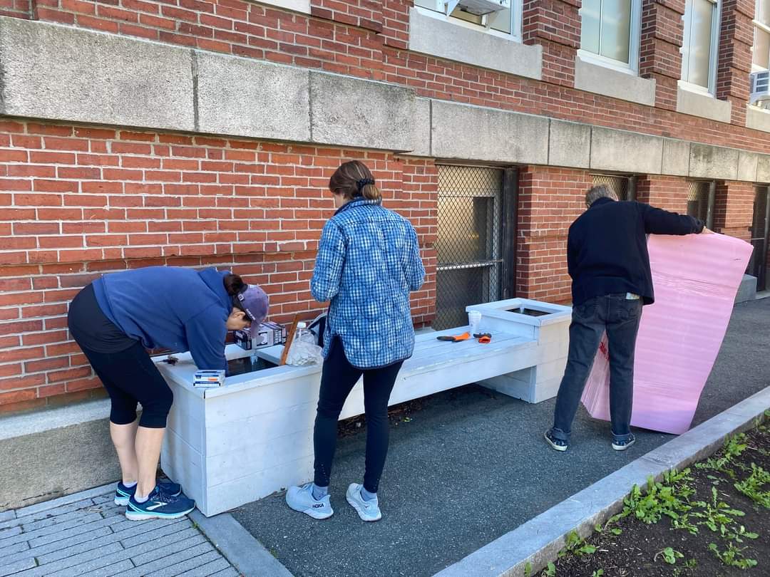 PerrySharksBPS tweet media