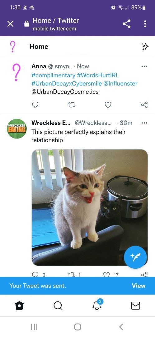 _smyn_'s tweet image. #complimentary #WordsHurtIRL #UrbanDecayxCybersmile @Influenster @UrbanDecayCosmetics