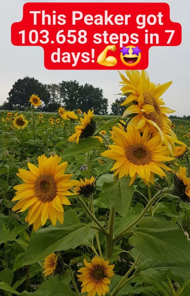 Ivanya76737556's tweet photo. Stepping for #munrostepchallenge2022
Day 19. to 25. 👣🤗🤩
@MyPeakChallenge 
@ehill76 @SamHeughan @GermanPeaker @CoachValbo https://t.co/xmAzCDlWDq