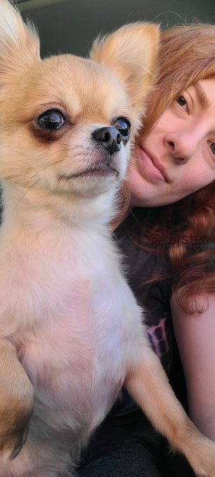 #sundayvibes https://t.co/MJhEe1GDat<a href="/tag/sundayvibes"class="tags">#sundayvibes</a>