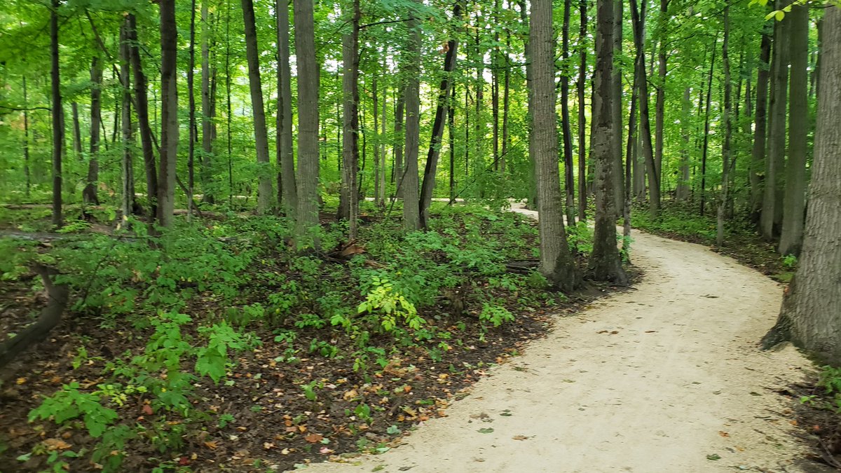 #idlewood no longer idle. Just in time 4 election &amp; idlewood pool to be closed after a hot walk through. less damage than expected after such a long closure. The new path must be what cost a million dollars <a href="/vidman/">Vidman 🇨🇦</a> <a href="/carmenwongtv/">Carmen Wong</a> <a href="/CTVKitchener/">CTV Kitchener</a> <a href="/DaveSchniderKW/">Dave Schnider</a>  #ward2