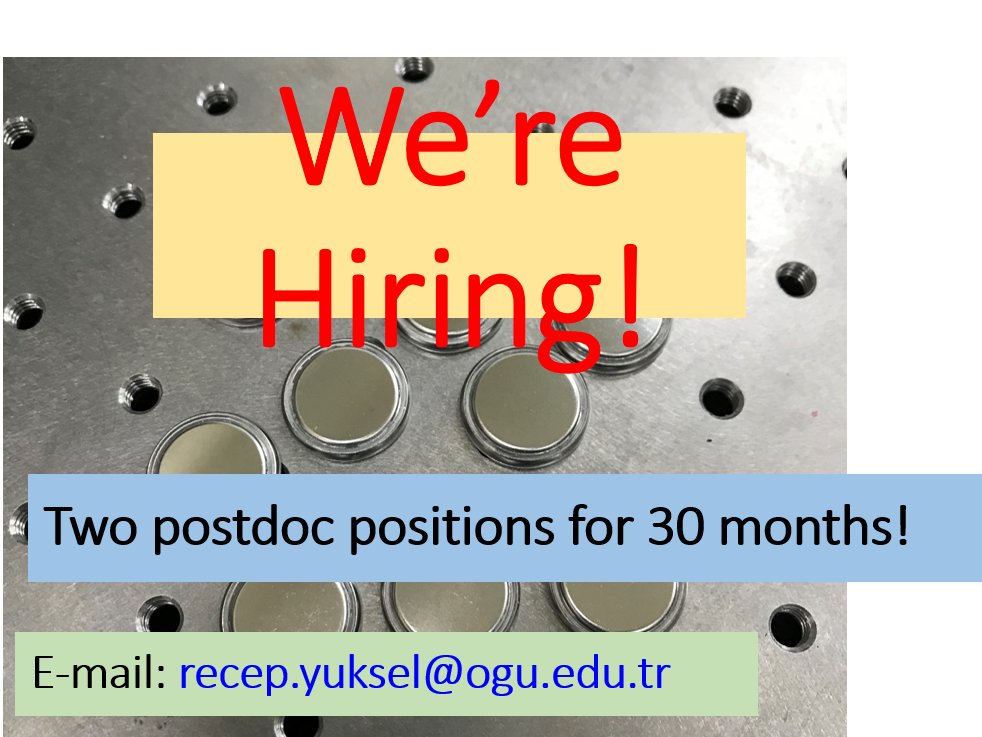 We have two postdoc positions open to work on anodes for Zn-ion batteries. If interested, please send CV and a few lines to recep.yuksel@ogu.edu.tr 

web.ogu.edu.tr/reyuksel/

#energystorage  #batteries #postdocposition #research