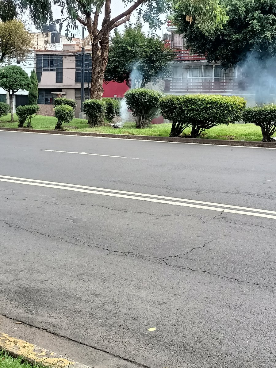 joonhy10's tweet photo. @Bomberos_CDMX indigente prende fogata https://t.co/nXYeZiKd1s